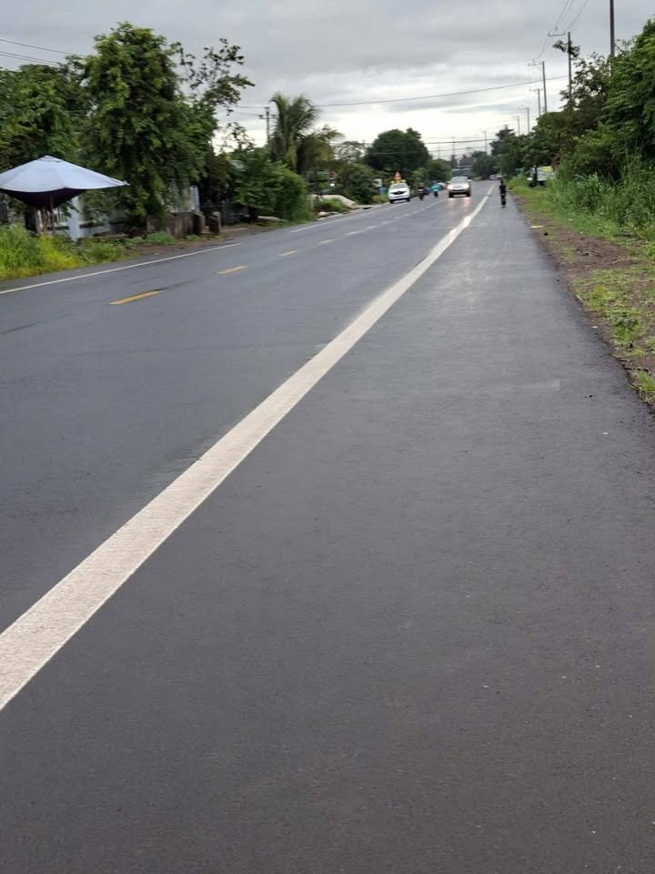 Đất nền rẫy 1.9ha tại Tỉnh Lộ 1, Buôn Đôn - Đầu tư sinh lời ngay!