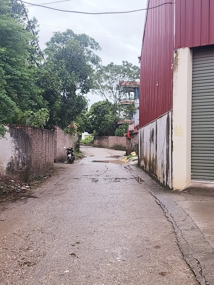 Đất thổ cư Tiên Dược, Sóc Sơn 300m² - Lô góc đẹp, ô tô tránh dễ dàng