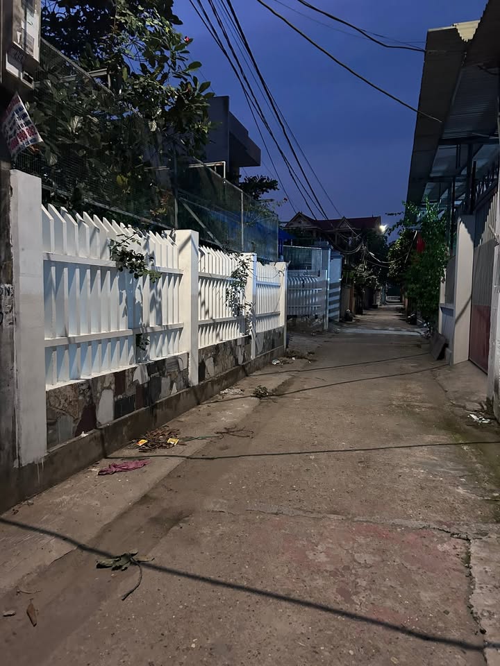 Đất nền 56m² tại Nhạn Đường - Đông Anh - Giá đầu tư hấp dẫn!