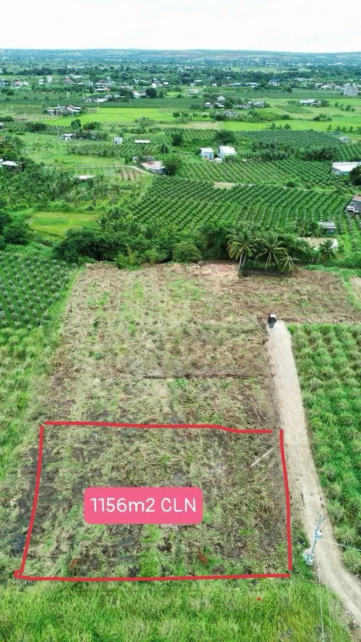 Đất nông nghiệp Bình An, Hàm Thuận Bắc 1156m² giá 560 triệu - Sổ đỏ chính chủ, gần chợ