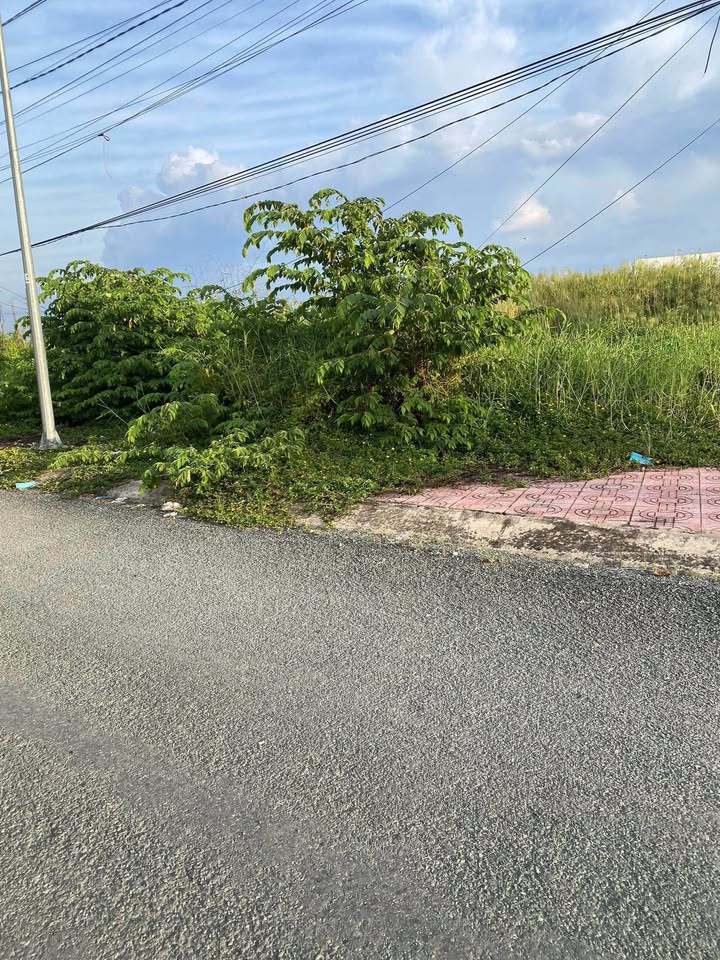 Đất vườn mặt tiền đường Cù Khắc Kiệm, Tân An 583m² giá 3.5 tỷ - Đầu tư sinh lời!