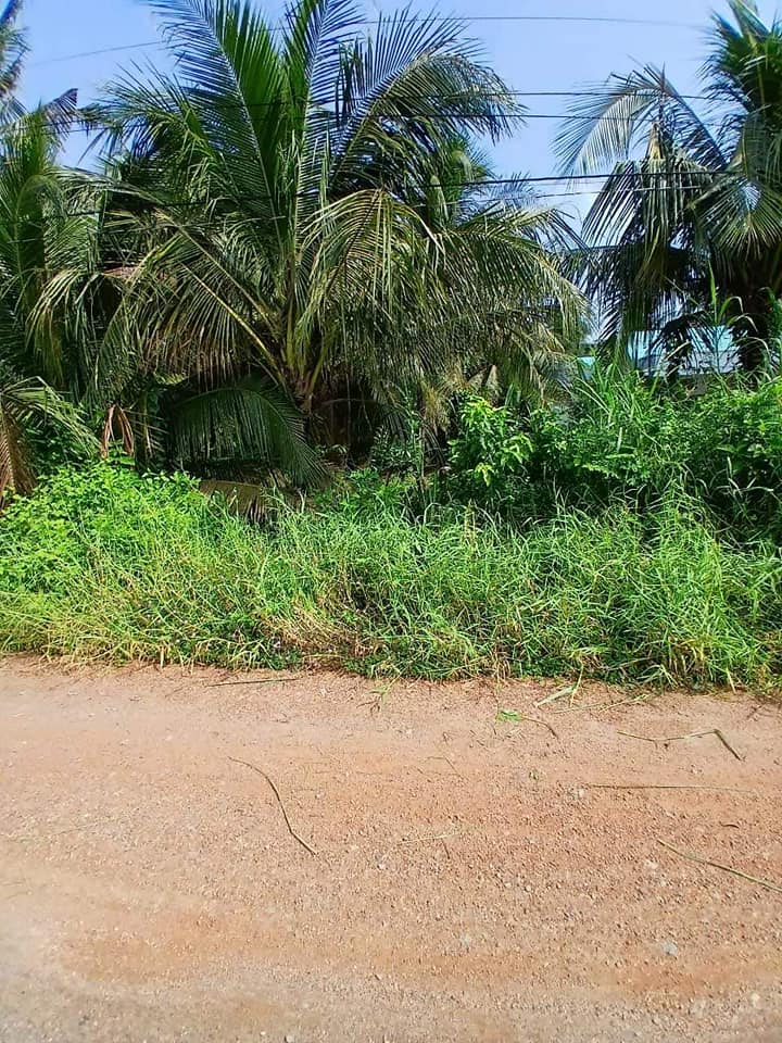 Đất thổ cư mặt tiền Nguyễn Văn Quá 219,6m² giá 1.1 tỷ - Cơ hội đầu tư hấp dẫn!