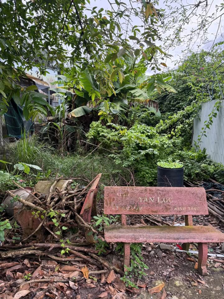 Bán đất mặt tiền đường nhựa Tân Thông Hội, Củ Chi 125m² giá 1.7 tỷ - Pháp lý rõ ràng