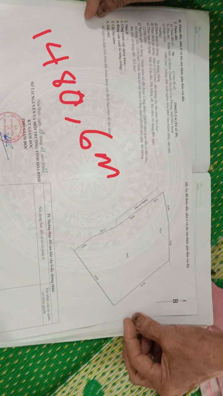 Đất Farm Bình Thanh Hòa Bình 10000m² - Thế đất đẹp, phù hợp làm trang trại