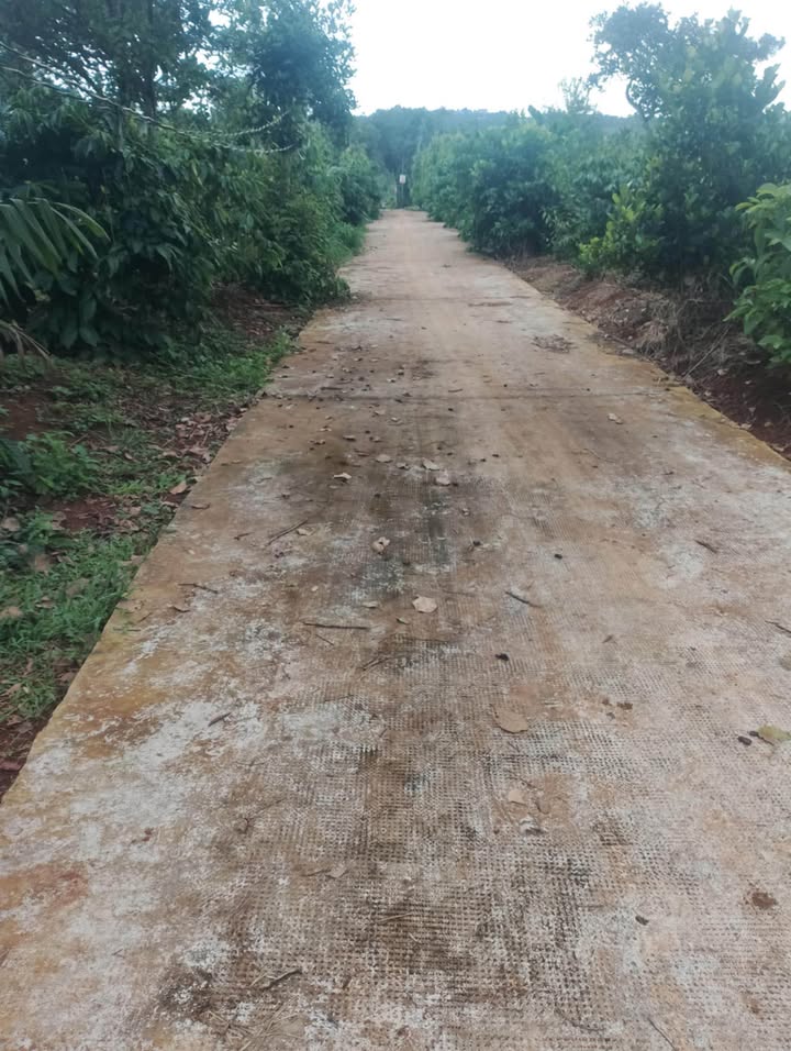 Đất nền Nhân Đạo Đắk Nông 360m² giá chỉ 220 triệu - Cơ hội đầu tư tuyệt vời!