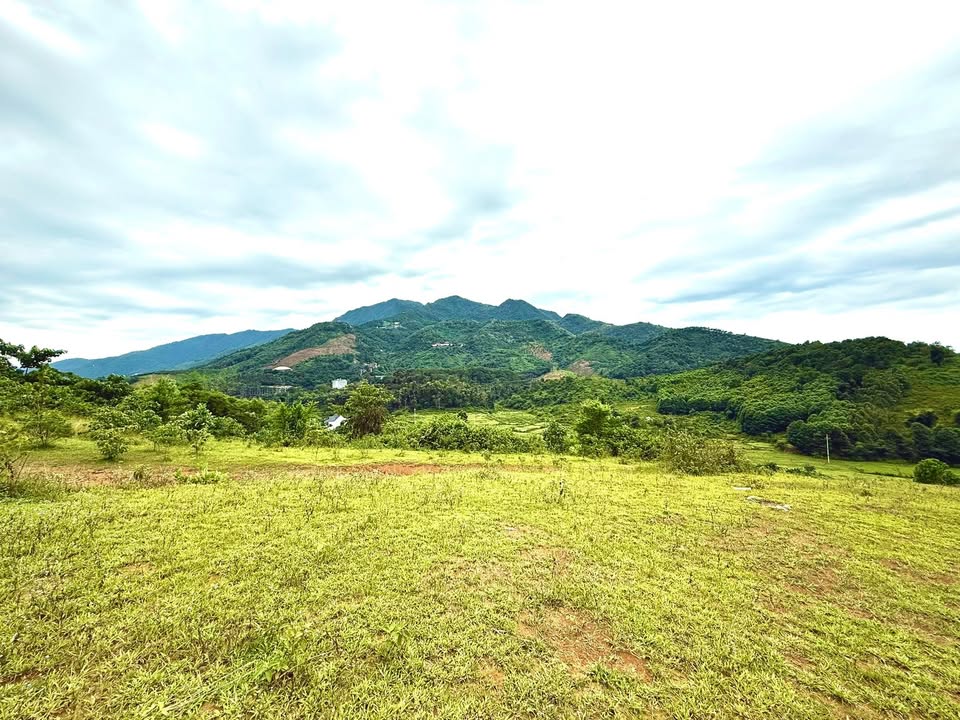 Đất nghỉ dưỡng Tiến Xuân 1000m² giá 10 tỷ - View núi tuyệt đẹp