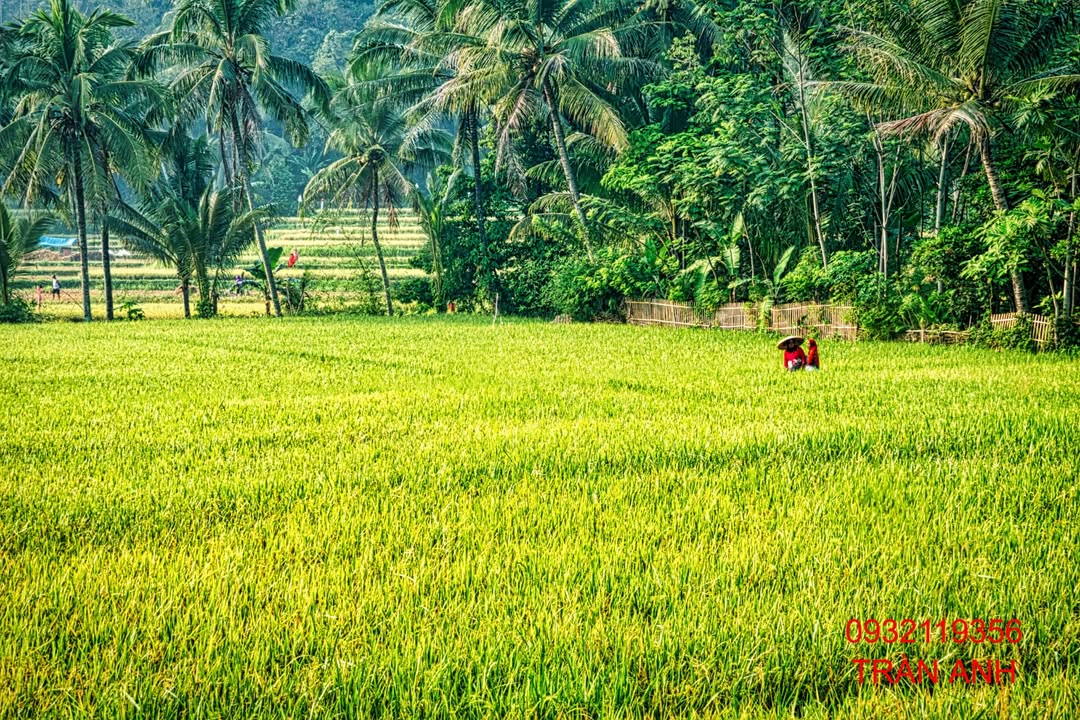 Lô đất vườn 1000m² xã Định Quán, Đồng Nai - Cơ hội đầu tư lý tưởng!