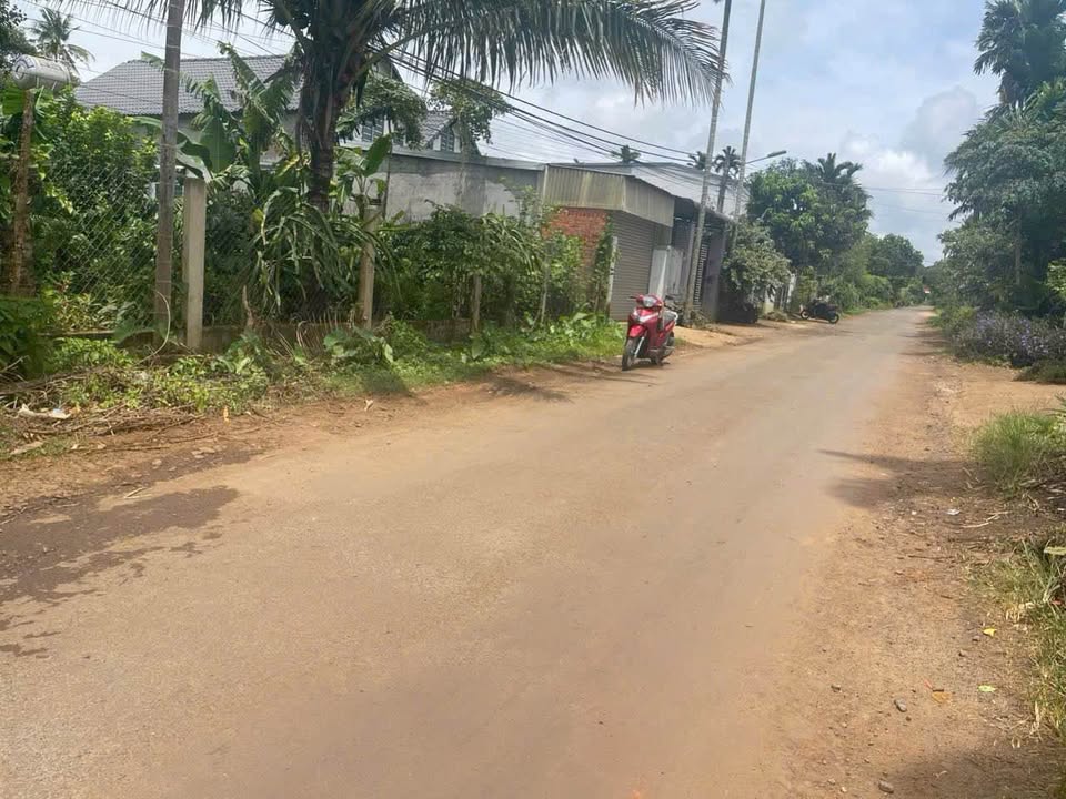 Đất mặt tiền Mậu Thân, Tân An, Buôn Ma Thuột 150m² giá 1.45 tỷ - Kinh doanh đa ngành nghề!