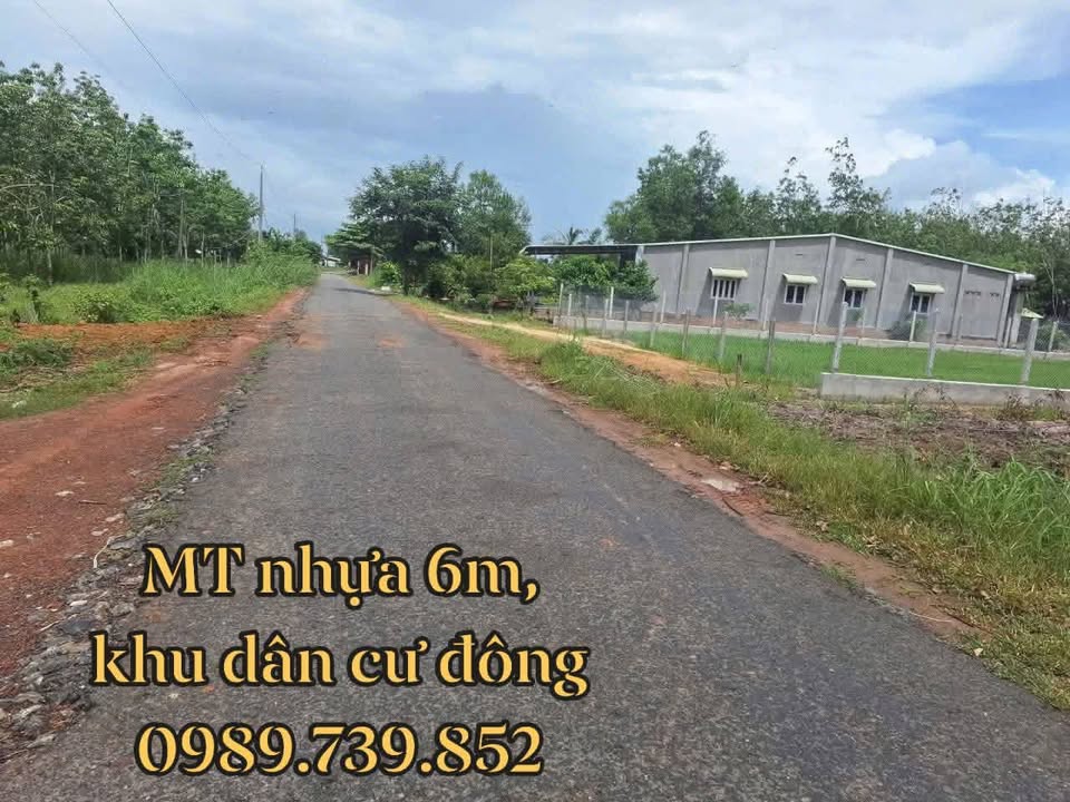Đất nền Ấp Long Tân, Tây Ninh 1400m² giá 1.5 tỷ - Sổ đỏ chính chủ, xây dựng tự do!
