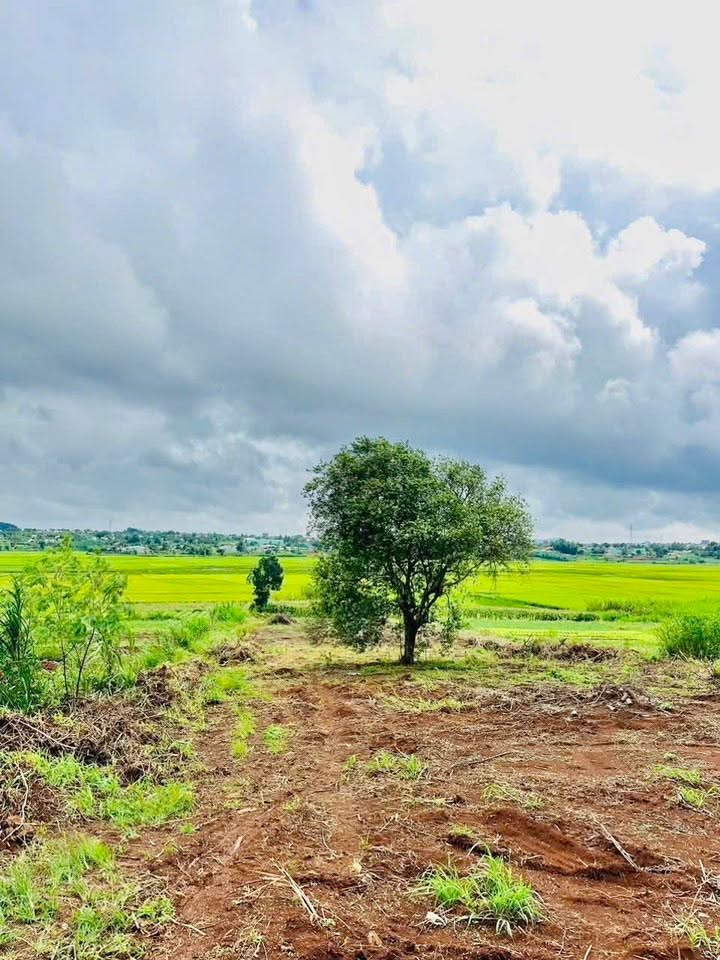 Đất nền đẹp tại Pleiku 500m² giá 1.5 tỷ - Lý tưởng cho nhà vườn!