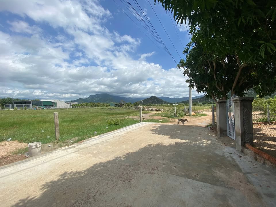 Đất nền 7 sào Nhơn Hải Ninh Hải giá chỉ từ 2xx triệu - Cơ hội đầu tư tuyệt vời!