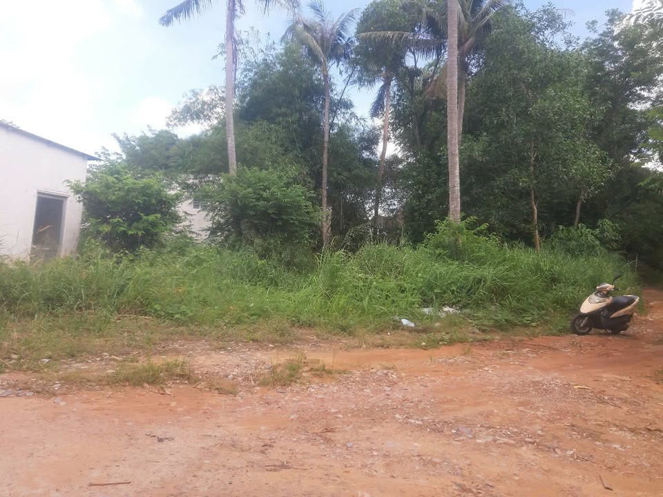 Đất nền 432m² Phú Quốc giá 2.4 tỷ - Lô góc ngay ngã tư