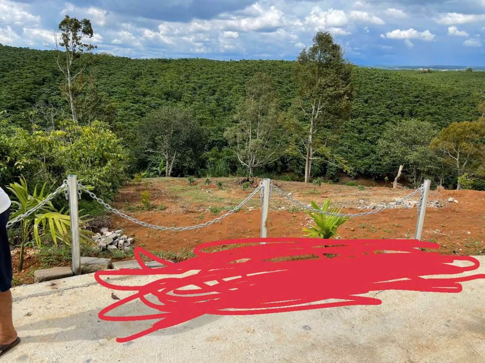 Đất nền Lộc Phát Bảo Lộc 525m² chỉ 500 triệu - Cơ hội đầu tư hấp dẫn!