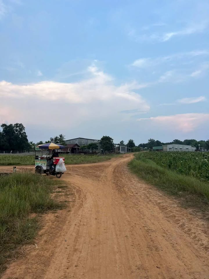 Đất mặt tiền lộ đỏ Tiên Thuận, Bến Cầu 195m² giá 350 triệu - Đầu tư sinh lời ngay!