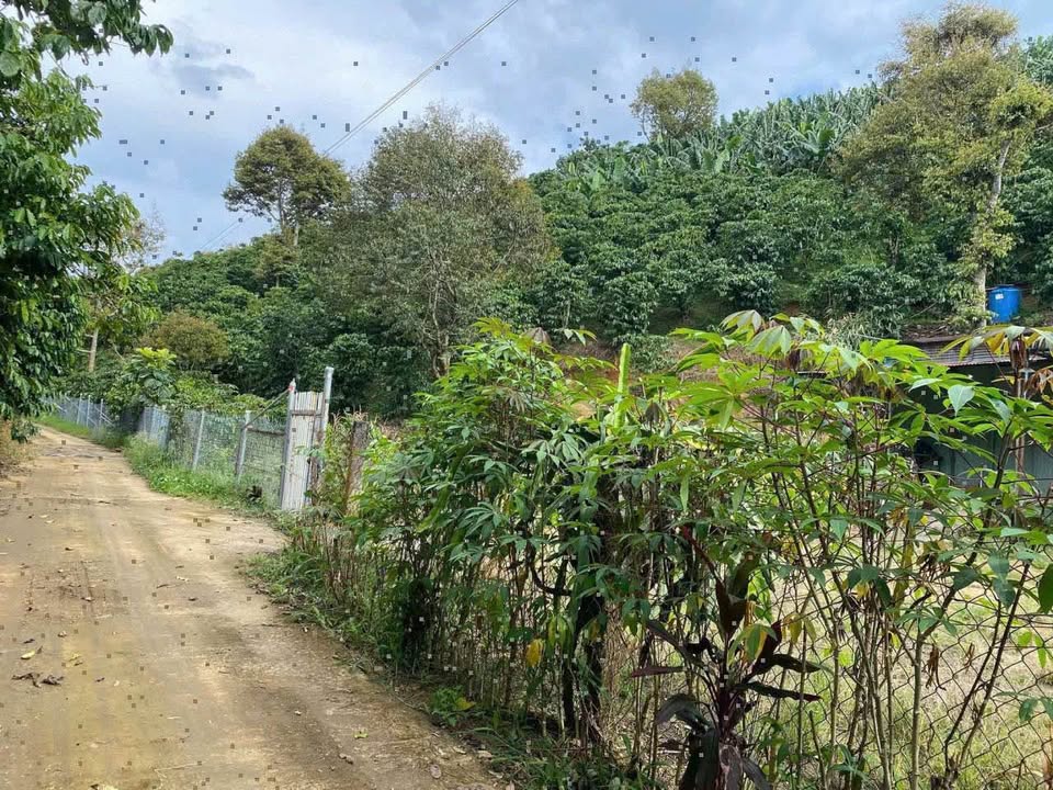 Đất nền 7 sào 9 Tân Lạc, Bảo Lâm - Mặt tiền 100m, Giá 2.88 tỷ