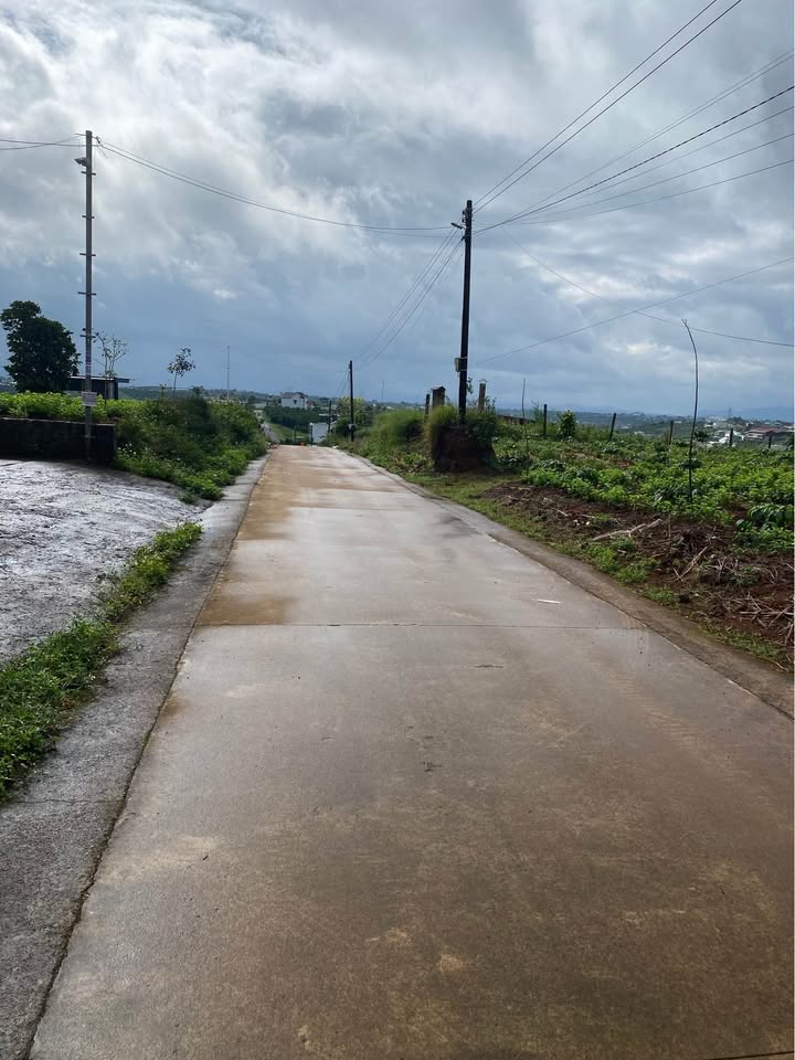 Nhà đất hẻm 75 Tản Đà, Bảo Lộc 700m² giá 2.8 tỷ - Cơ hội đầu tư hiếm có!