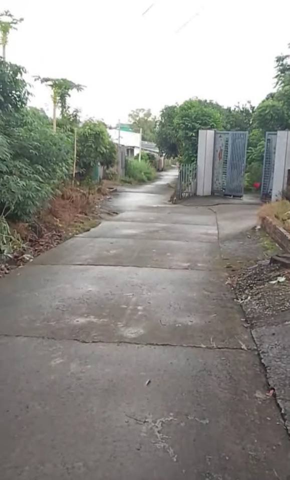 Đất nền chính chủ xã Phú Lâm, Tân Phú, 300m² giá 1.1 tỷ - Cơ hội đầu tư hiếm có!