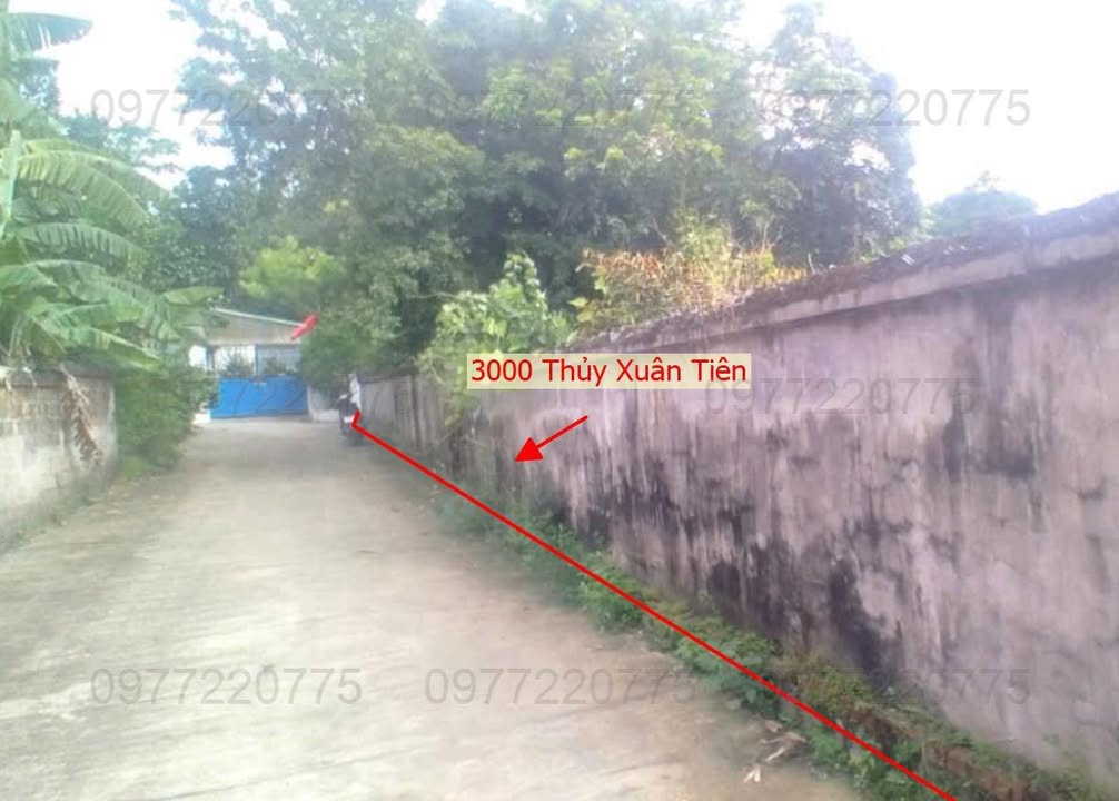 Đất nền Thủy Xuân Tiên, Chương Mỹ 3000m² - Vị trí tiềm năng đầu tư!