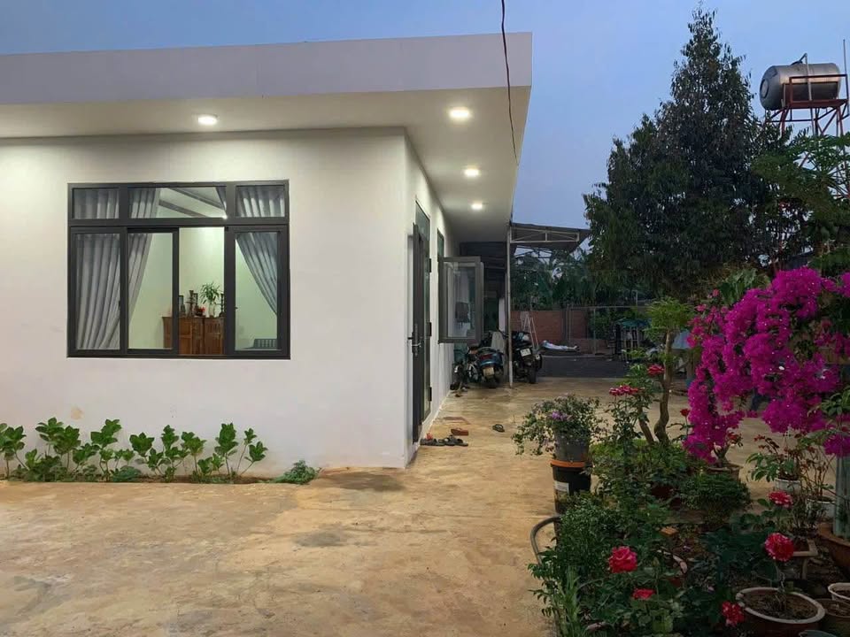 Nhà mặt tiền đường Trương Vĩnh Kí, xã Biển Hồ 385m² - Giá cực tốt chỉ 1.5 tỷ!