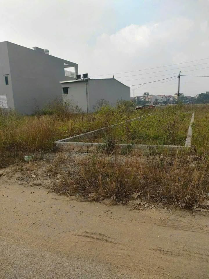 Đất dịch vụ Lưu Xá, Quất Động 80m² giá 3.2 tỷ - Cơ hội đầu tư hiếm có!