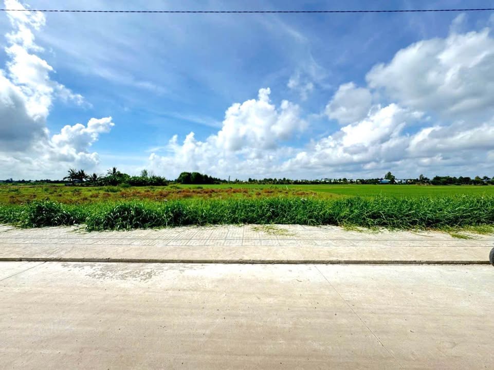 Đất nền thổ cư 150m² tại xã Thạnh Lộc, Châu Thành - Giá tốt thương lượng!