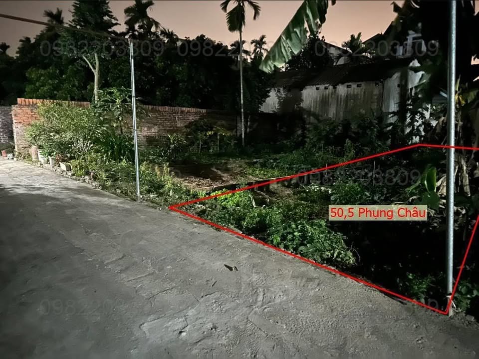 Đất nền Phụng Châu - Chương Mỹ 50.5m² giá 3 tỷ - Vị trí đắc địa, giao thông thuận lợi!