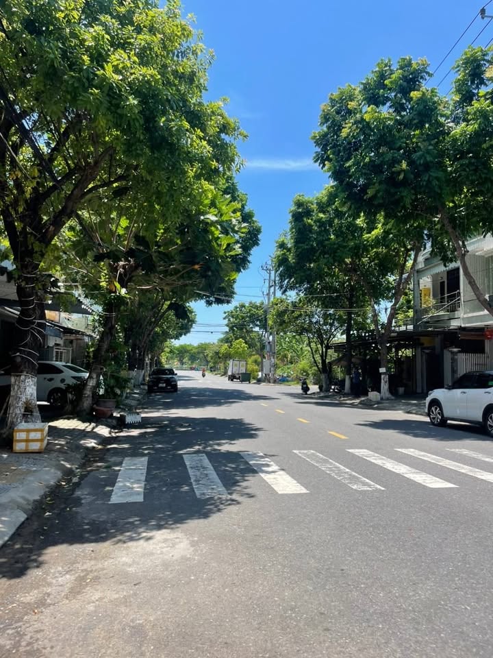 Đất Mặt Tiền Đường Hoàng Xuân Hãn, Quận Cẩm Lệ, 100m² - Đầu Tư Sinh Lời Ngay!