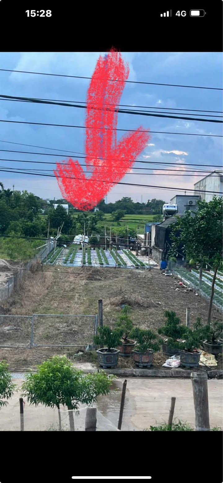 Đất mặt đường xóm 8 Tân Thành 300m² giá thỏa thuận - Cơ hội đầu tư hấp dẫn!