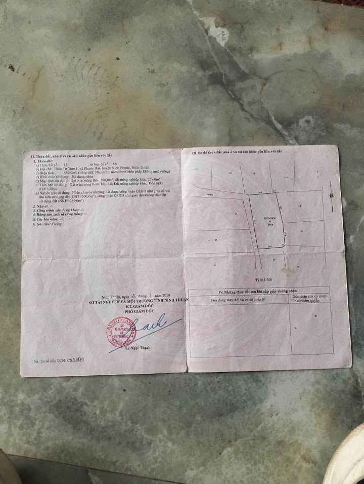 Lô đất An Hải, Ninh Phước 559m² giá chỉ 1.5 tỷ - Cơ hội đầu tư hiếm có!