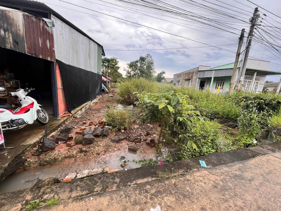 Đất thổ cư đường chính Phú Điền, Tân Phú, Đồng Nai 350m² - Giá chỉ 699 triệu!