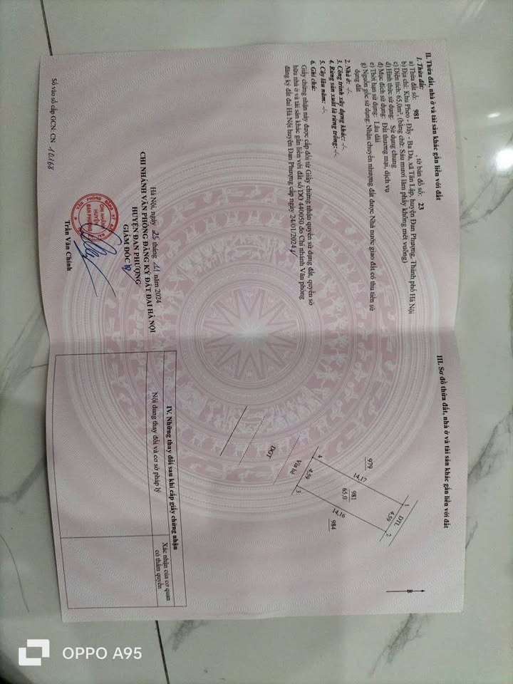 Đất nền Tân Lập Đan Phượng 65m² giá 845 triệu - Vị trí đẹp kết nối Sunshine!