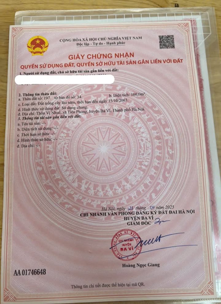 Đất nền Tiên Phong, Ba Vì 160m² giá 1.45 tỷ - Cơ hội đầu tư tuyệt vời!