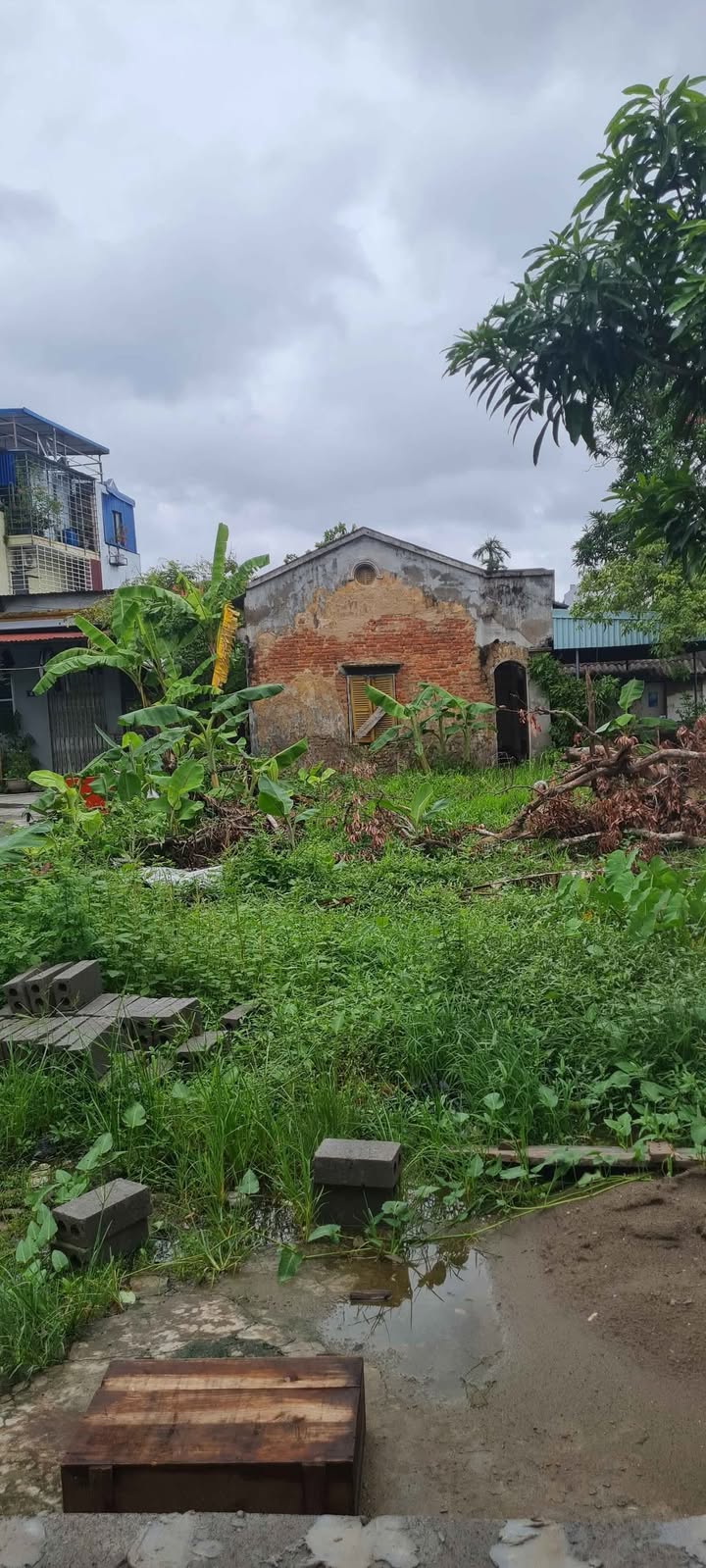 Đất nền Bạch Mai, Đồng Thái, 72m² giá 2.3 tỷ - Đầu tư sinh lời ngay!