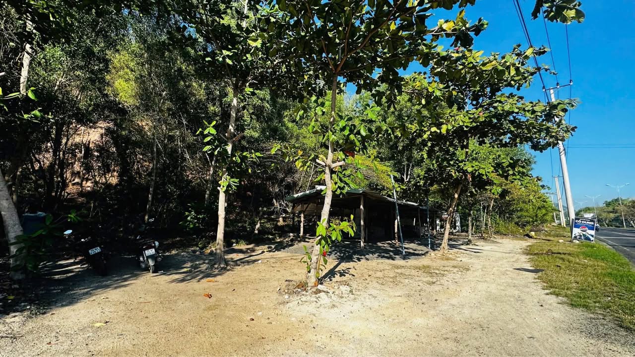 Đất mặt tiền Nguyễn Tất Thành Nha Trang 1010m² giá chỉ 3.3 tỷ - Đầu tư sinh lời lý tưởng!