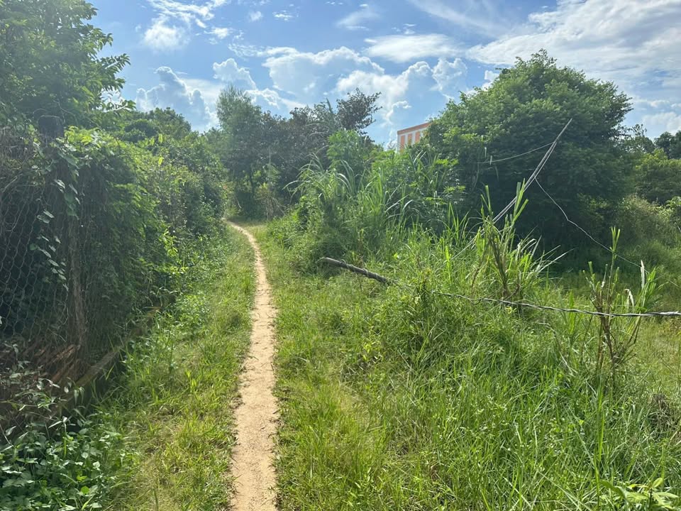 Đất nền 700m² Duy Nghĩa, Duy Xuyên - Gần vòng xoay Hoiana chỉ 1km!