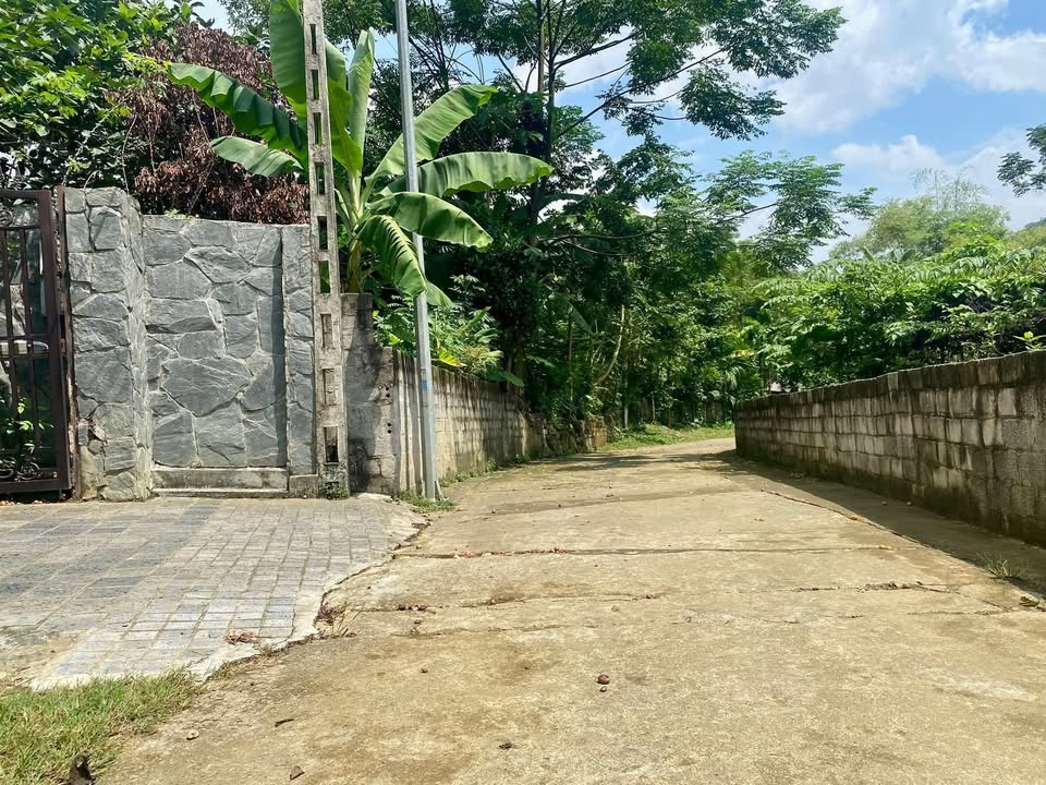 Đất Farm 1500m² tại Phú Mãn, Quốc Oai - Không gian nghỉ dưỡng lý tưởng!