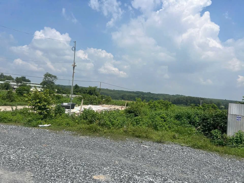 Bán đất 3.2ha mặt tiền đường DH619, xã Long Nguyên, huyện Bàu Bàng, giá 32 tỷ - Đầu tư sinh lời tốt!