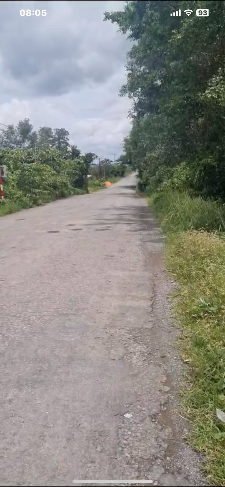 Đất góc 2 mặt tiền Tỉnh Lộ 867 và đường nhựa Bắc Tràm 21 công - Cơ hội đầu tư hiếm có!