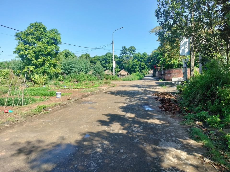 Đất nền Vườn Đình, Tân Yên 112m² giá 1.9 tỷ - Mặt tiền 8m, cơ hội đầu tư hấp dẫn!