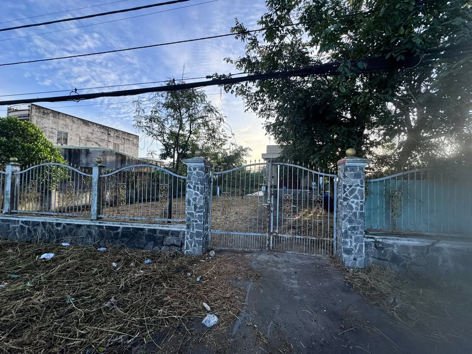 Đất Mặt Tiền Tỉnh Lộ 834, Tân An 972m² giá 9 tỷ - Thương lượng ngay!