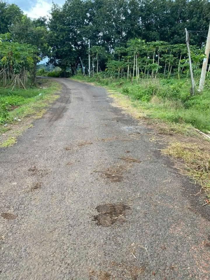 Đất nền Tân Tiến Bù Đốp 550m² giá chỉ 280 triệu - Đầu tư sinh lời ngay!