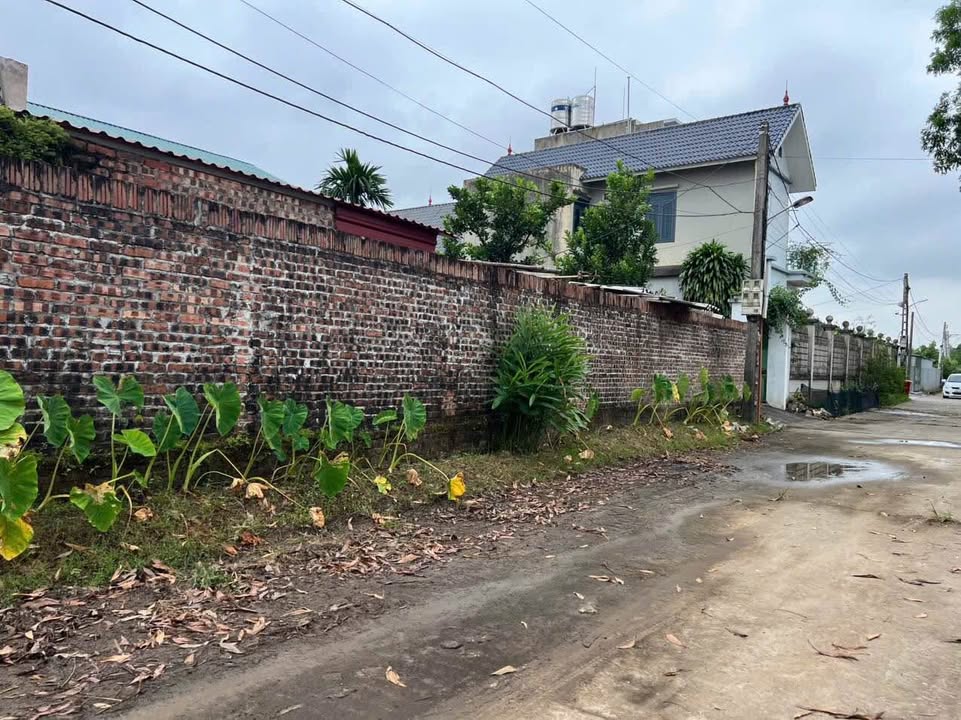 Đất nền đẹp tại Mai Đình, Sóc Sơn 253m² - Tiềm năng sinh lời cao!