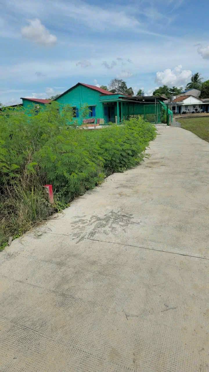 Đất nền thổ cư 154m² Phước Lợi, Bến Lức giá 1.2 tỷ - Sổ hồng riêng, mặt tiền đường lớn!