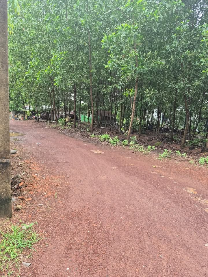 Đất nền 500m² tại trung tâm thị trấn Trị An - Giá chỉ 490 triệu VND!