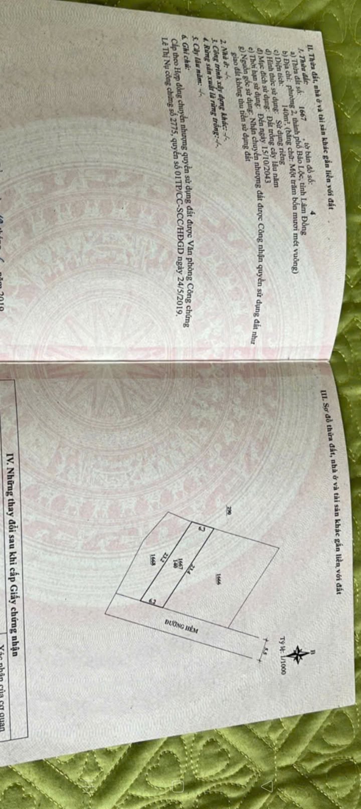 Đất nền phường 2 Bảo Lộc 151m² giá 800 triệu - Cơ hội đầu tư không thể bỏ qua!