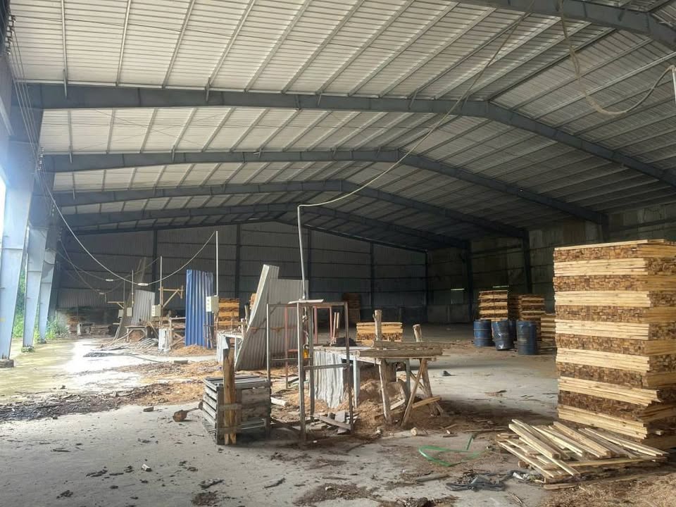 Nhà xưởng 9800m² mặt tiền đường 762, xã Quang Trung - Sẵn sàng hoạt động!