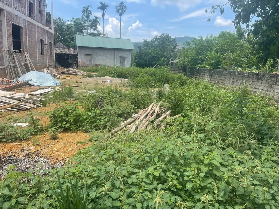 Đất nền Yên Xuân Thạch Thất 350m² giá 3.5 tỷ - Đầu tư sinh lời cao!