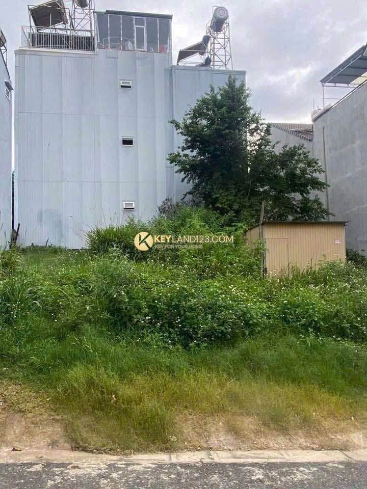 Đất thổ cư 72m² tại Trần Anh Tông, Đà Lạt chỉ 6.5 tỷ - Cơ hội đầu tư vàng!