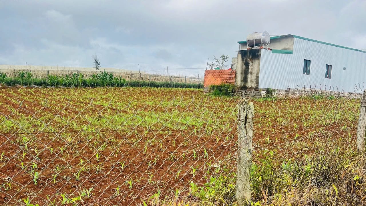 Đất đầu tư Ka Đô 1000m² giá chỉ 800 triệu - Đầu tư sinh lời ngay!