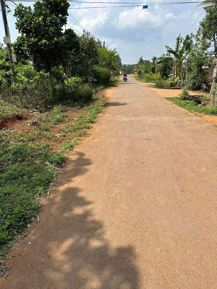 Đất thổ cư Đường Y Thuyên, Buôn Hồ, Đăk Lăk 179m² - Bán gấp chỉ 719 triệu!